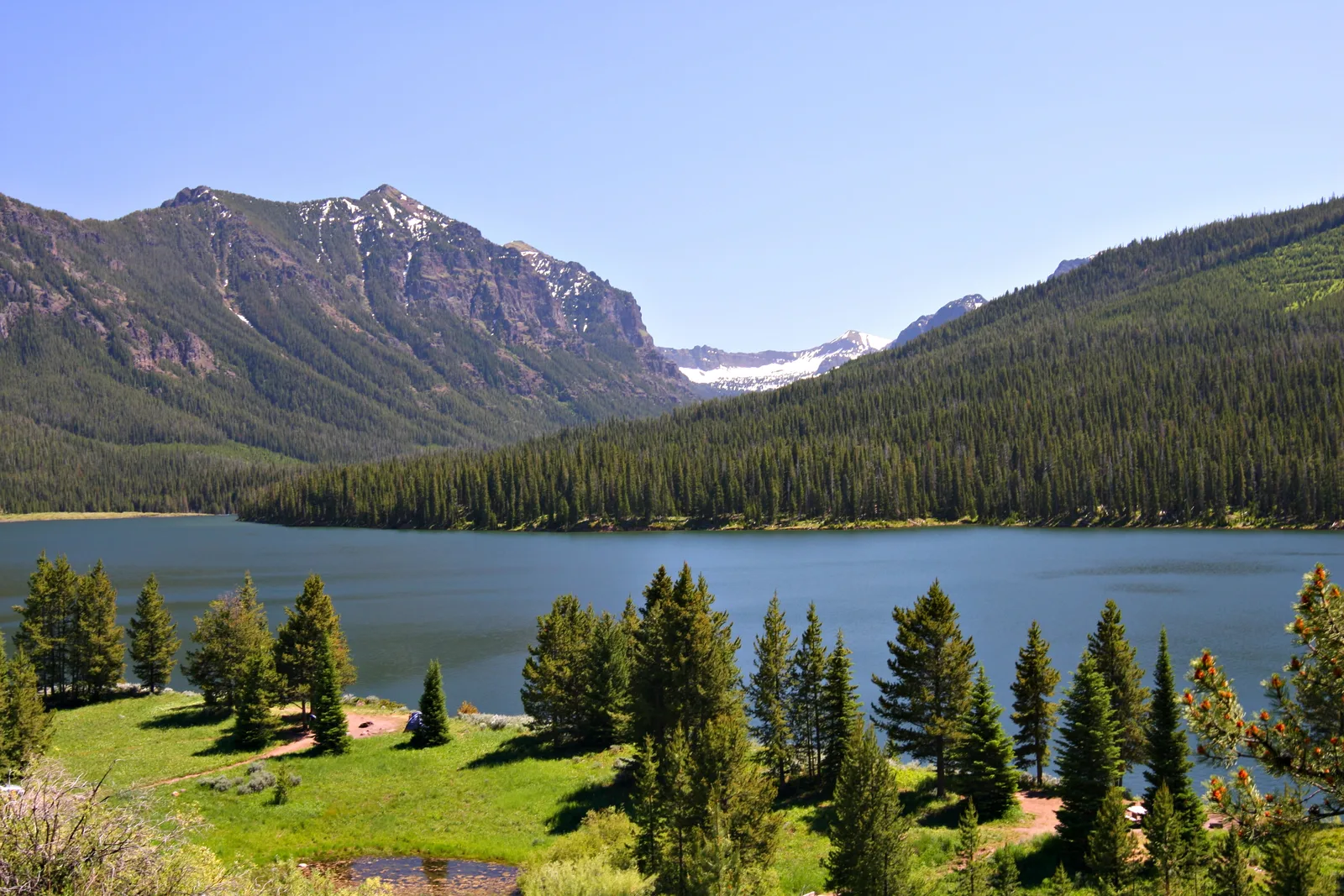 Mountain lake ringed by dense conifer forest, with snow-streaked peaks and a grassy shore