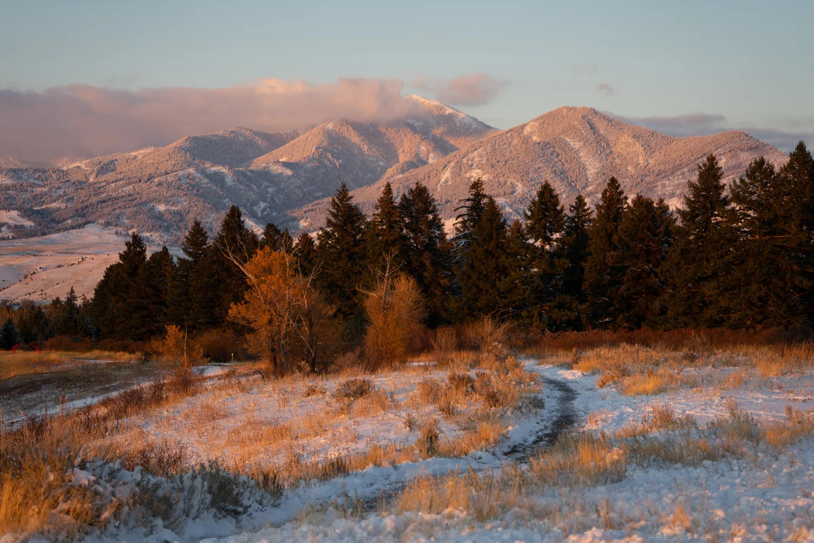Snow-dusted mountains lit pink at sunrise above evergreen trees and a snowy meadow with a footpath