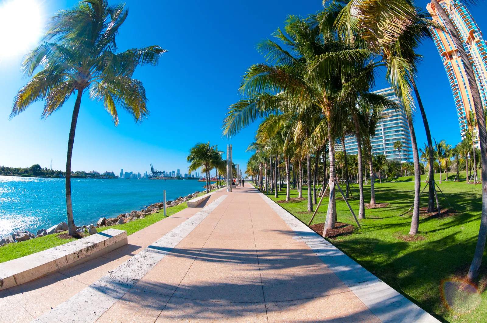 Paved waterfront promenade lined with palm trees and lawn, high-rise towers and a distant city skyline