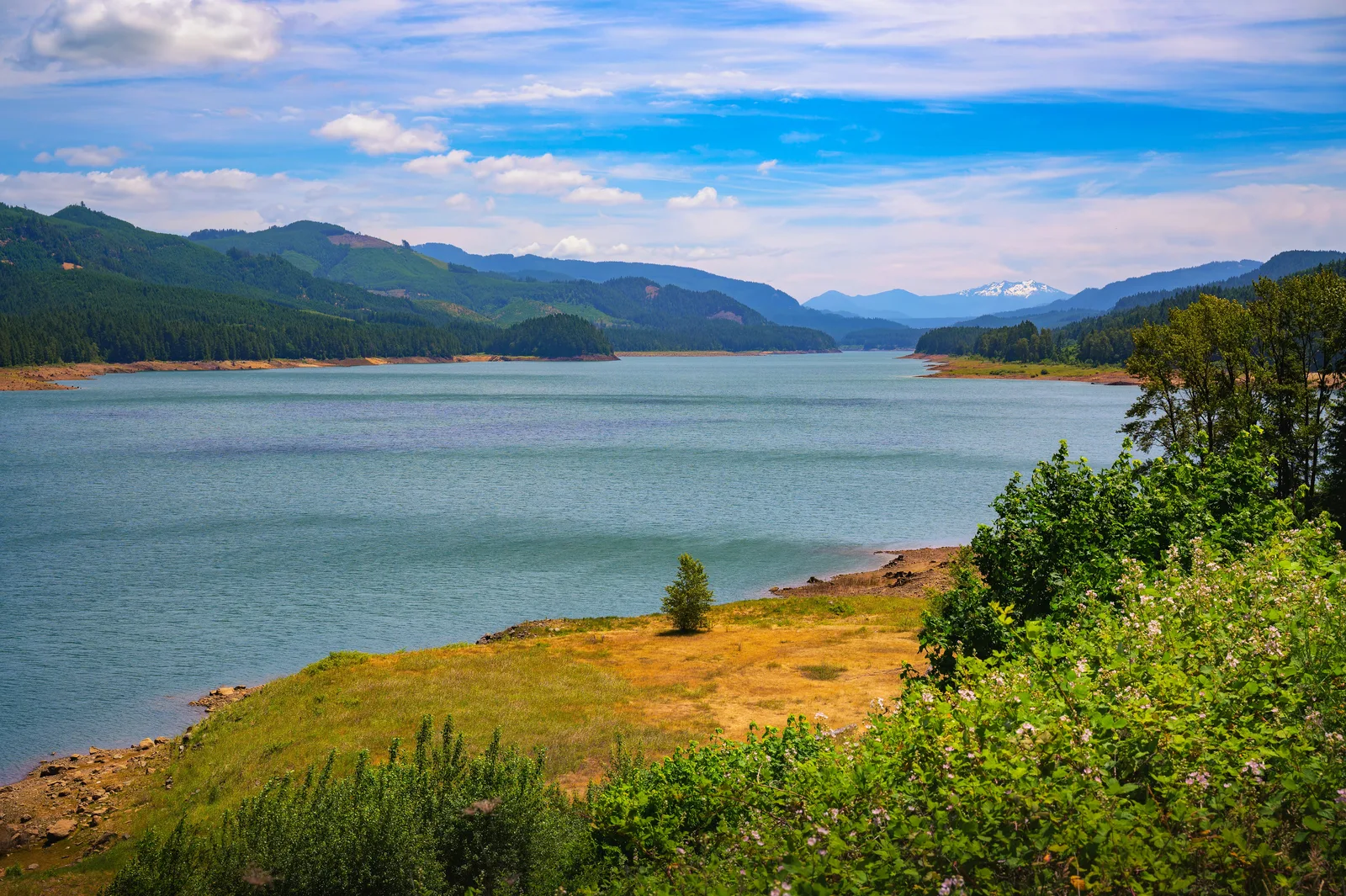 Reservoir winding between forested hills under a partly cloudy sky, with a snow-capped peak in the distance