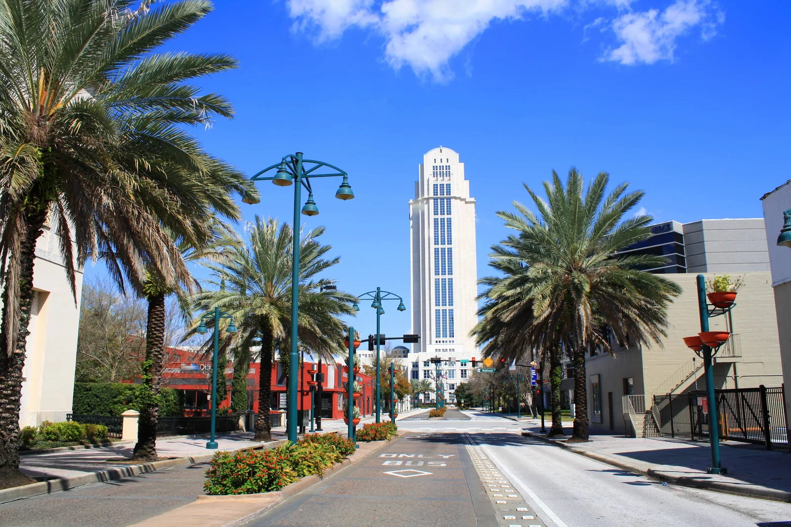 Palm-lined downtown street with a bus-only lane leading toward a tall white tower under a blue sky