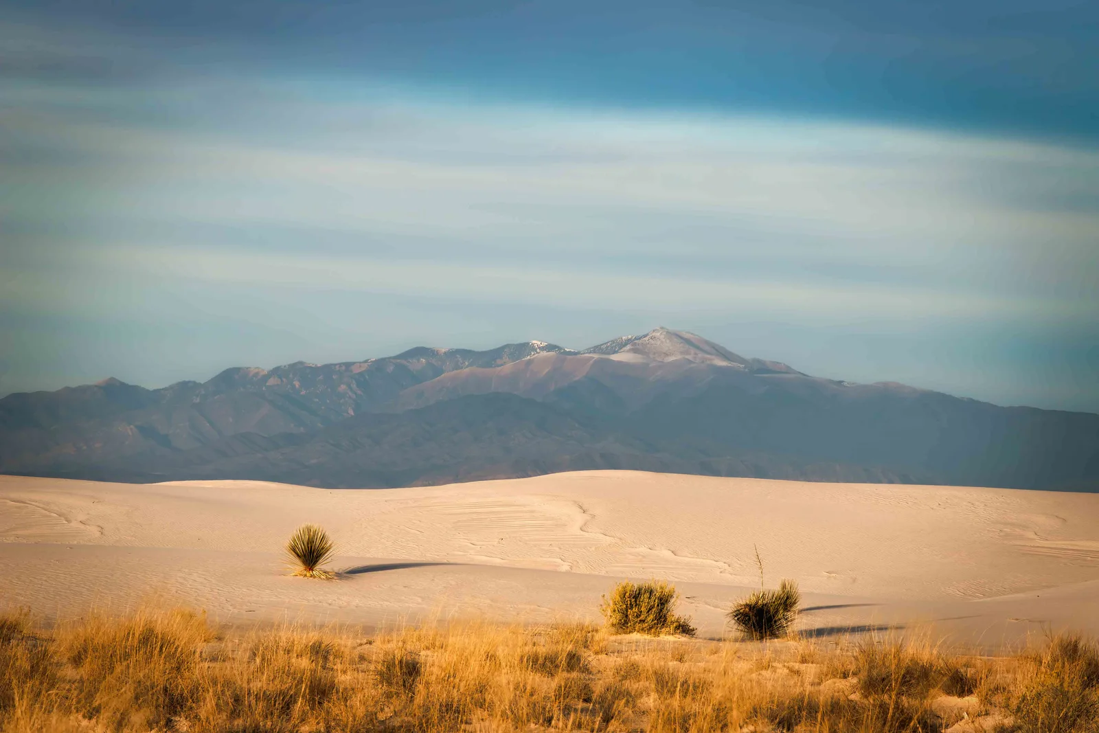 White sand dunes with yucca and dry grass in front of a snow-dusted mountain range
